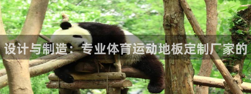 设计与制造：专业体育运动地板定制厂家的