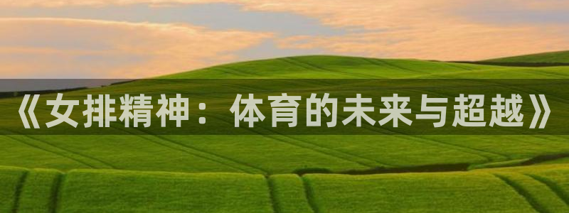 《女排精神：体育的未来与超越》